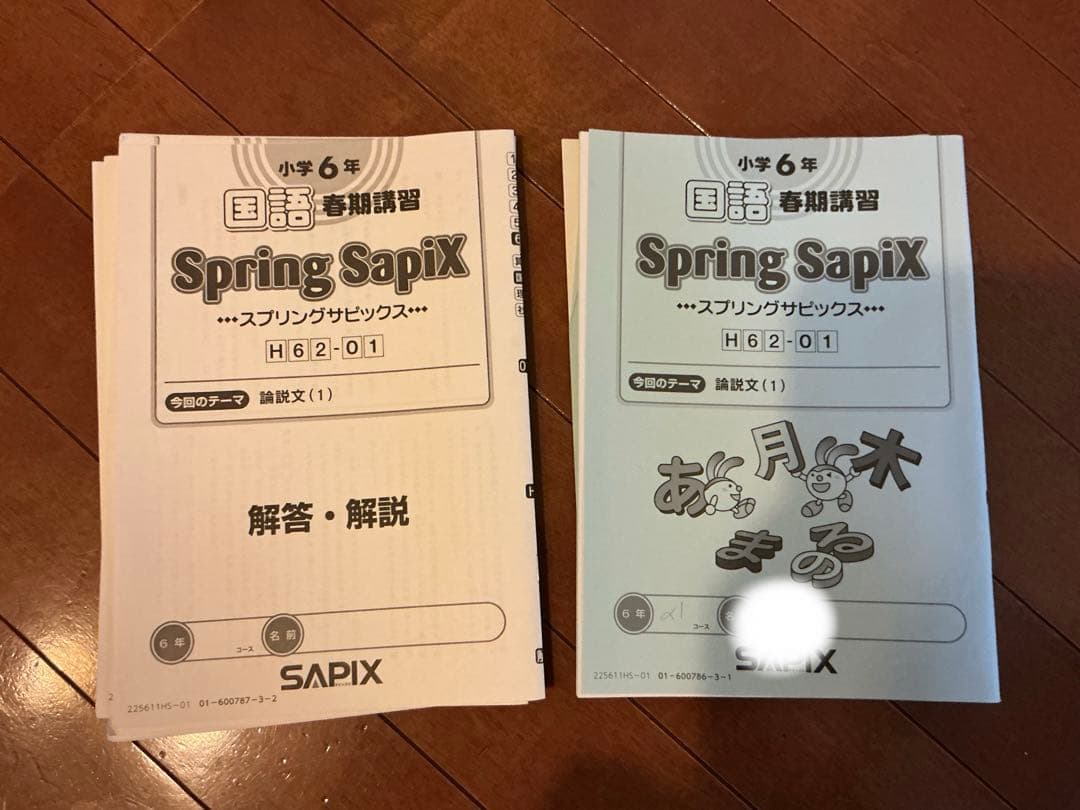 SAPIX 国語　中学受験　最新　2026年度　デイリー　教材