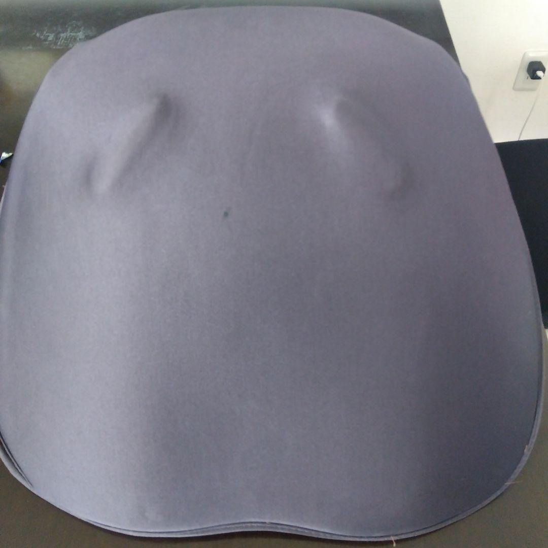 ハナさん専用MTG スタイルスマート 姿勢矯正クッション、セットアップ