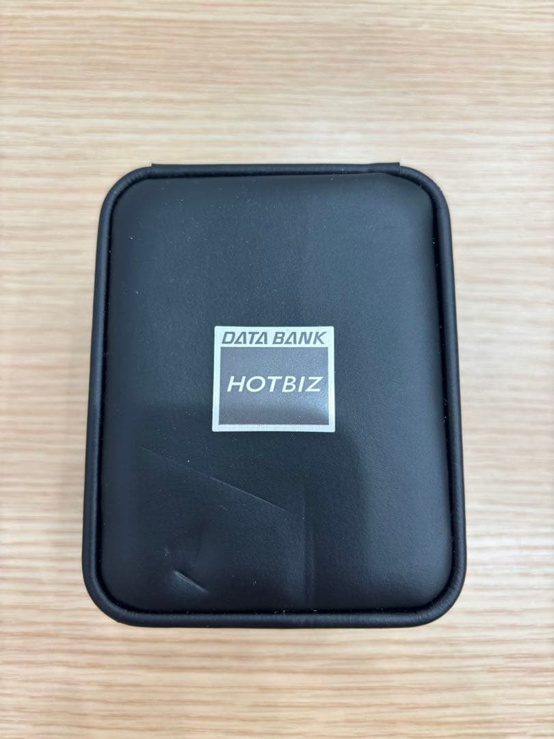 【激レア美品】 CASIO DATABANK　VDB-3100BJ-1 電池切れ