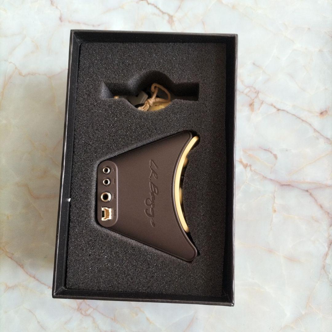 L,R Baggs Anthen　ギター