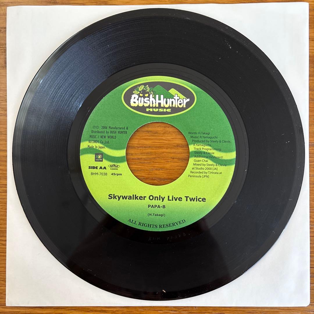 BushHunter 7インチレコード 4枚セット