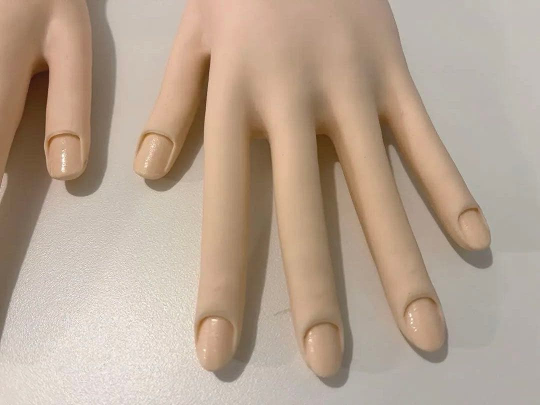 JNEC ネイリスト技能検定試験用 認定モデルハンド　使用1度のみ 骨折なし