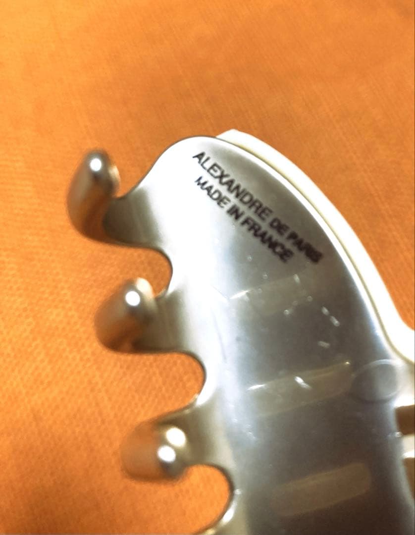 ストーン付き　M ヘアクリップ ALEXANDRE PARIS