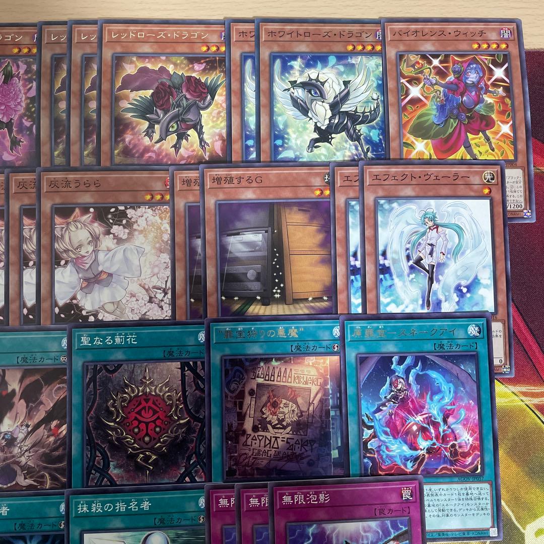 大会優勝構築 アザミナローズドラゴンデッキ レッドローズドラゴン 黒薔薇の破滅竜