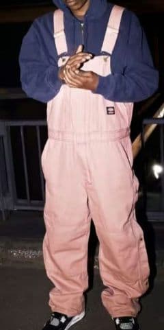 パンツ Supreme Dickies Flannel Lined Overall