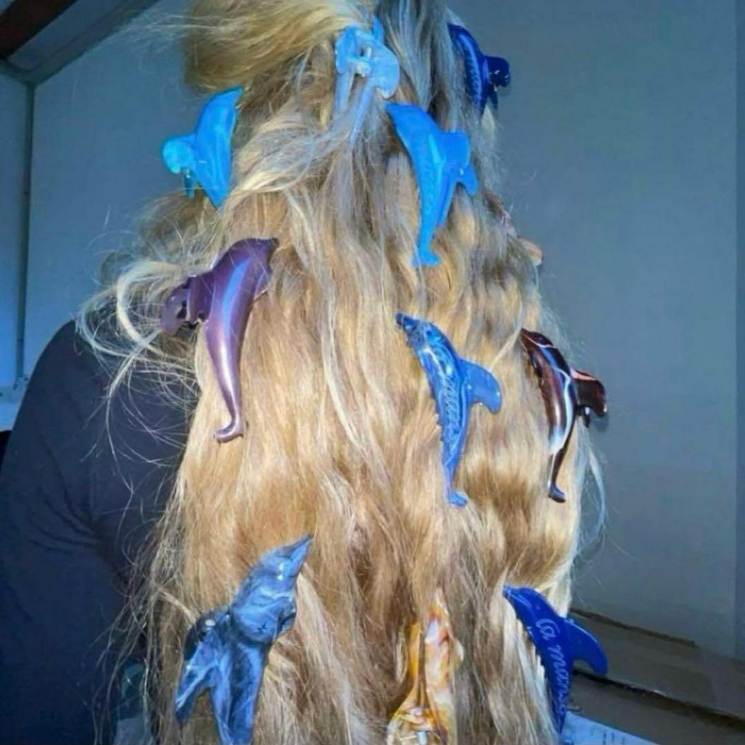La Manso ヘアクリップ イルカ Kehena beach ドルフィン