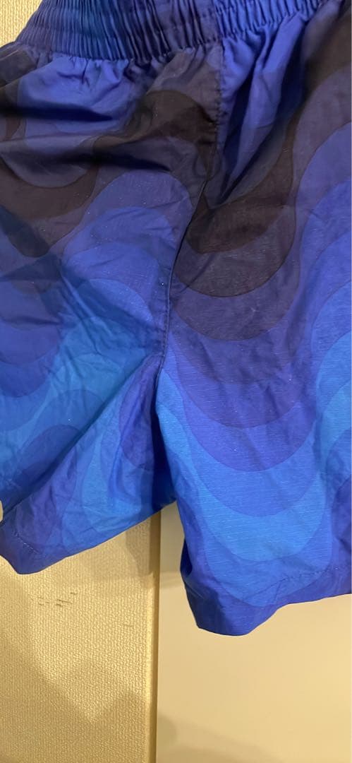 ドリスバンノッテン青 Dries Van Notenグラデーションショートパンツ