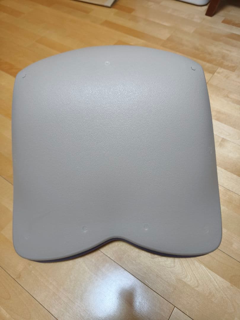 姿勢ケアシート　座椅子　スタイルプレミアムデラックス