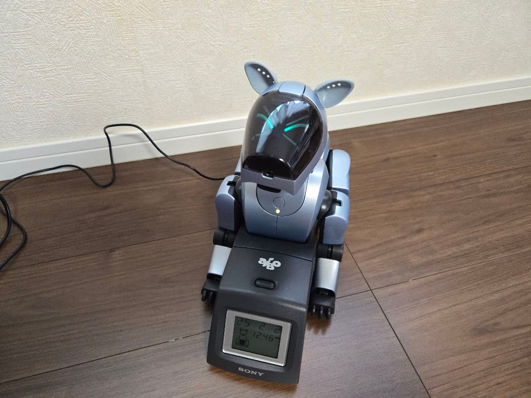 【大幅値下げ中✨️ SONY AIBO　ERS-210 修理済み！✨️ 正常動作