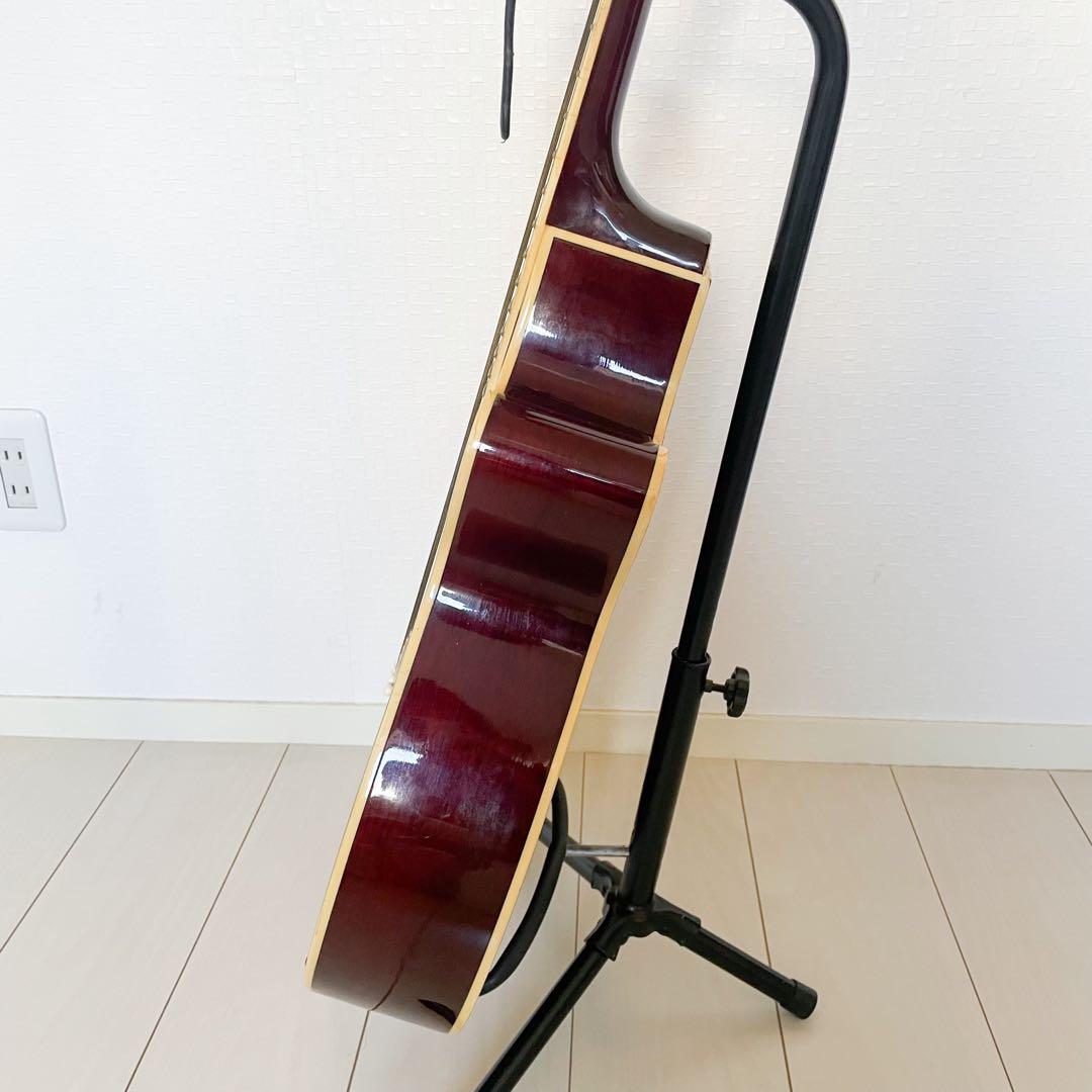 Pro Martin　custom　　EA500W　WRS エレアコ　ギター