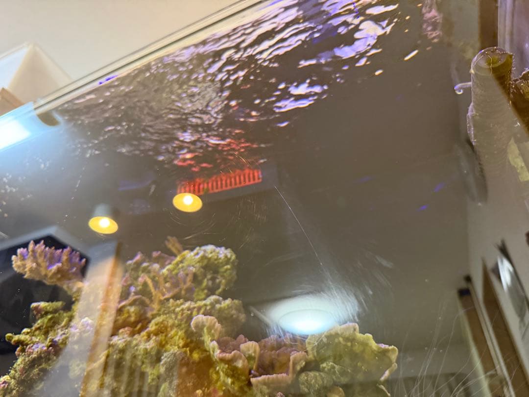 Red Sea 250 水槽水槽台濾過槽のみ