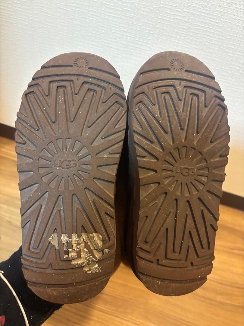 ugg ダズリータ　ブラウン
