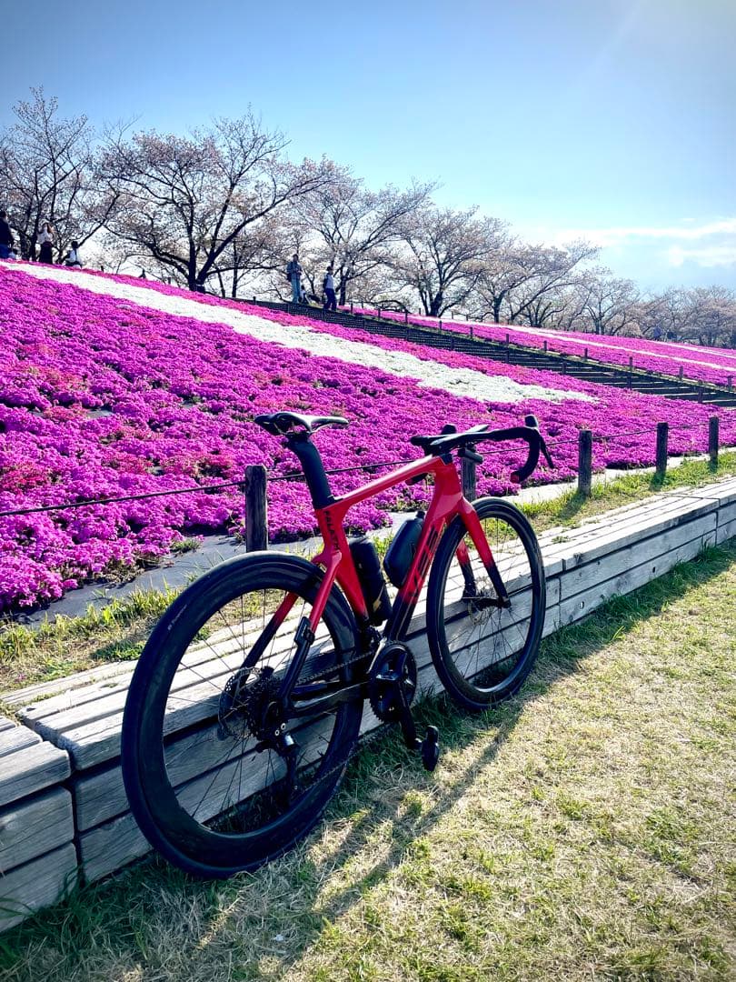 自転車本体 ELVES Falath EVO +