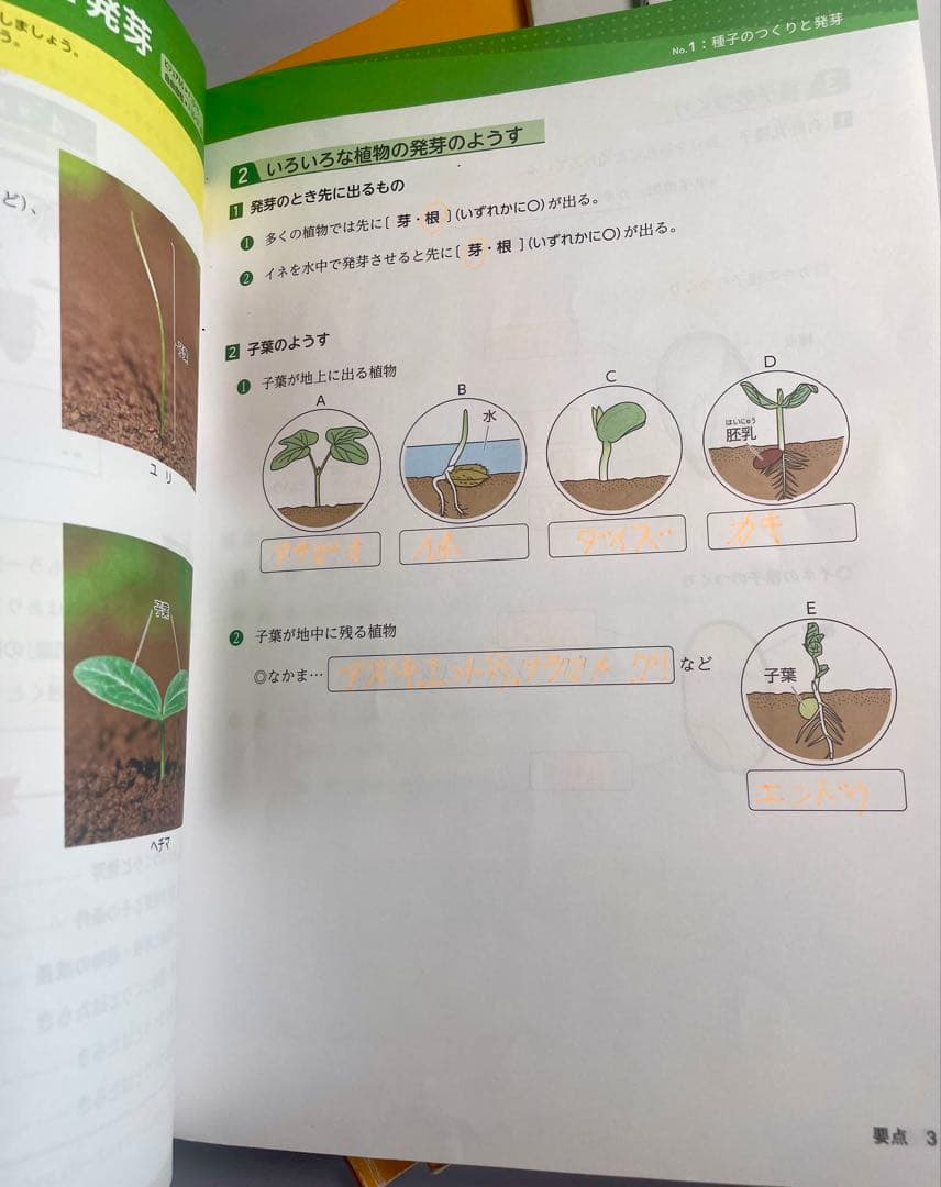 浜学園小5 2024年新刊サイエンス 5年生理科 問題編　解答解説　要点のまとめ