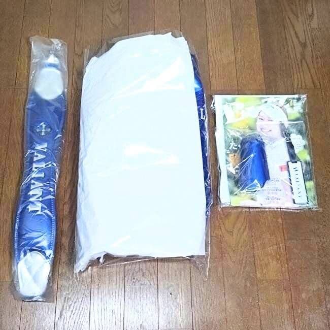 ヴァリアント キャディバック 限定 正規品 VALIANT GOLF