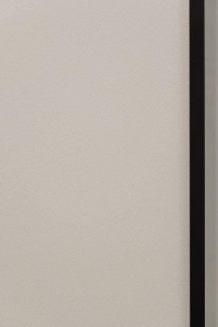 LUMIX S 24-105mm F4ズームレンズ S-R24105