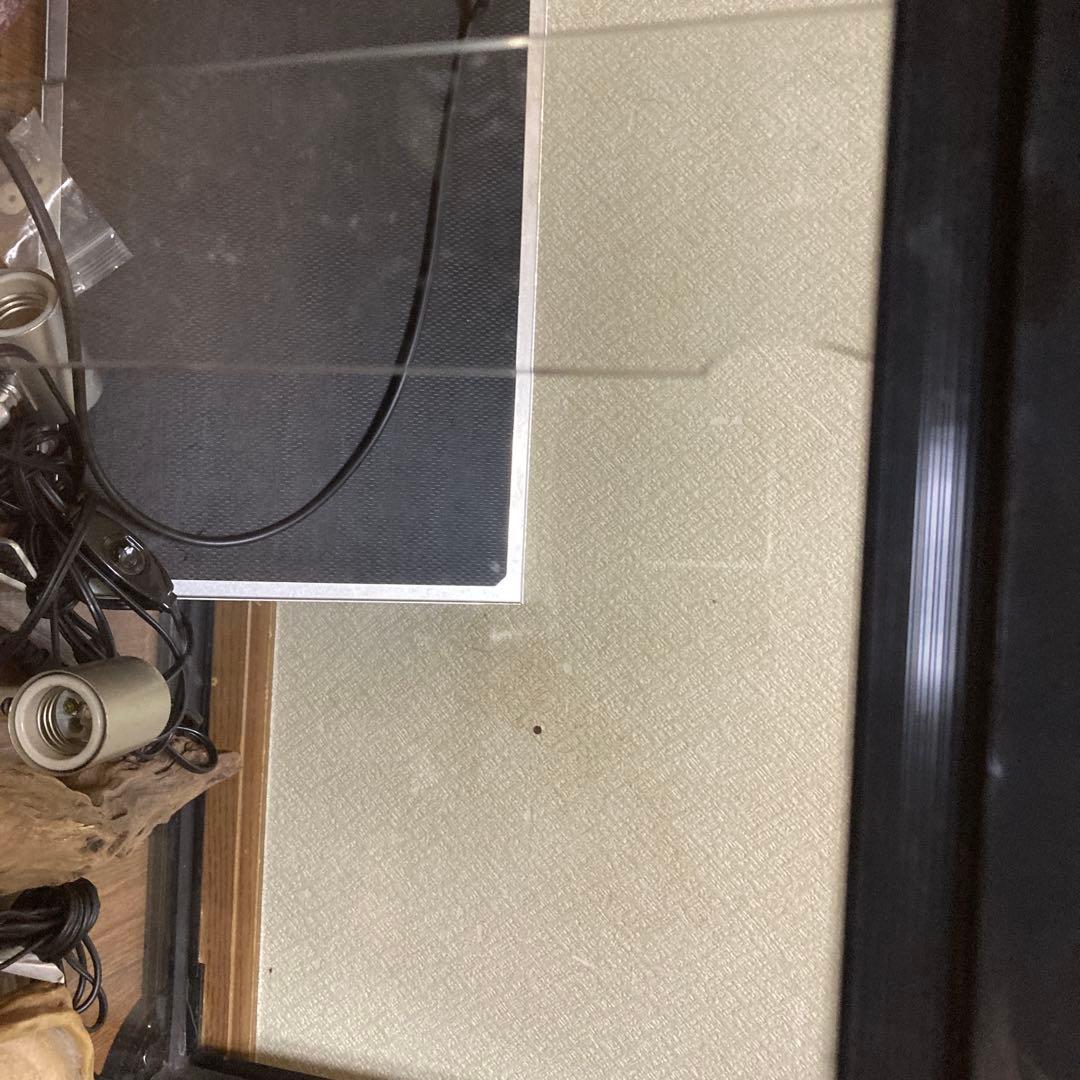 大型飼育ケージ ガラス製 メッシュカバー付きバラ売りも可能