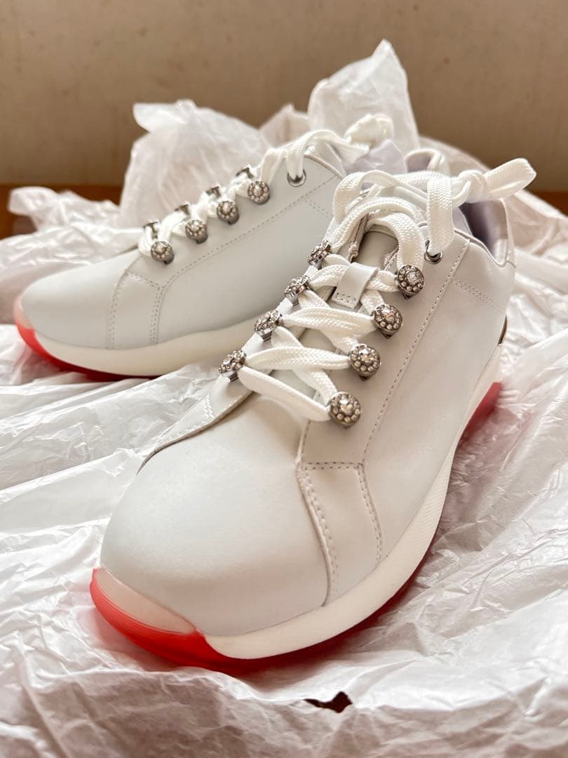 たーたん　ダイアナ　ゴルフシューズ　レディース　24.5 箱入！