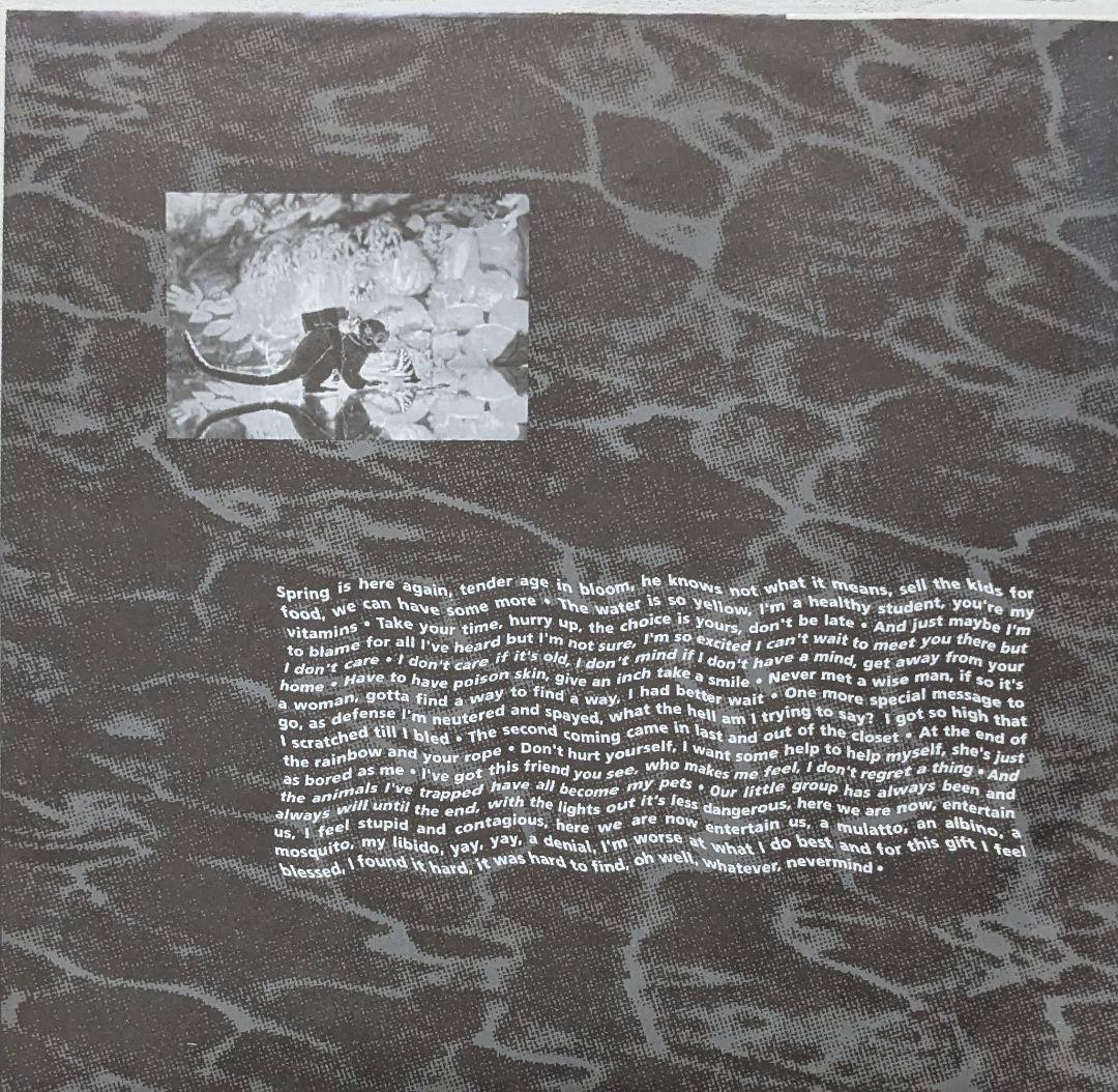 洋楽 NIRVANA/ NEVERMIND