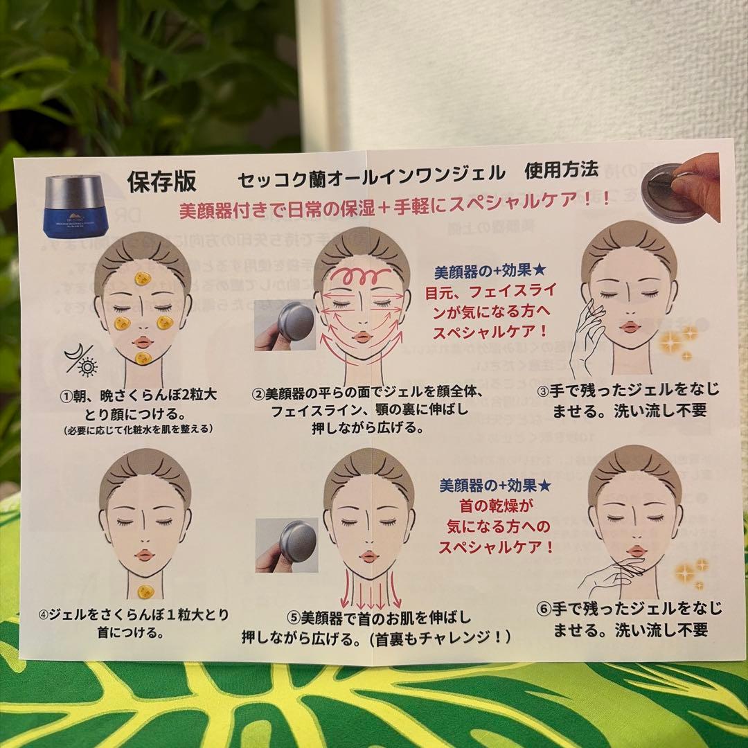 新品未使用　セッコク蘭オールインワンジェル美顔器付本体100g✖️1、レフィル✖️2