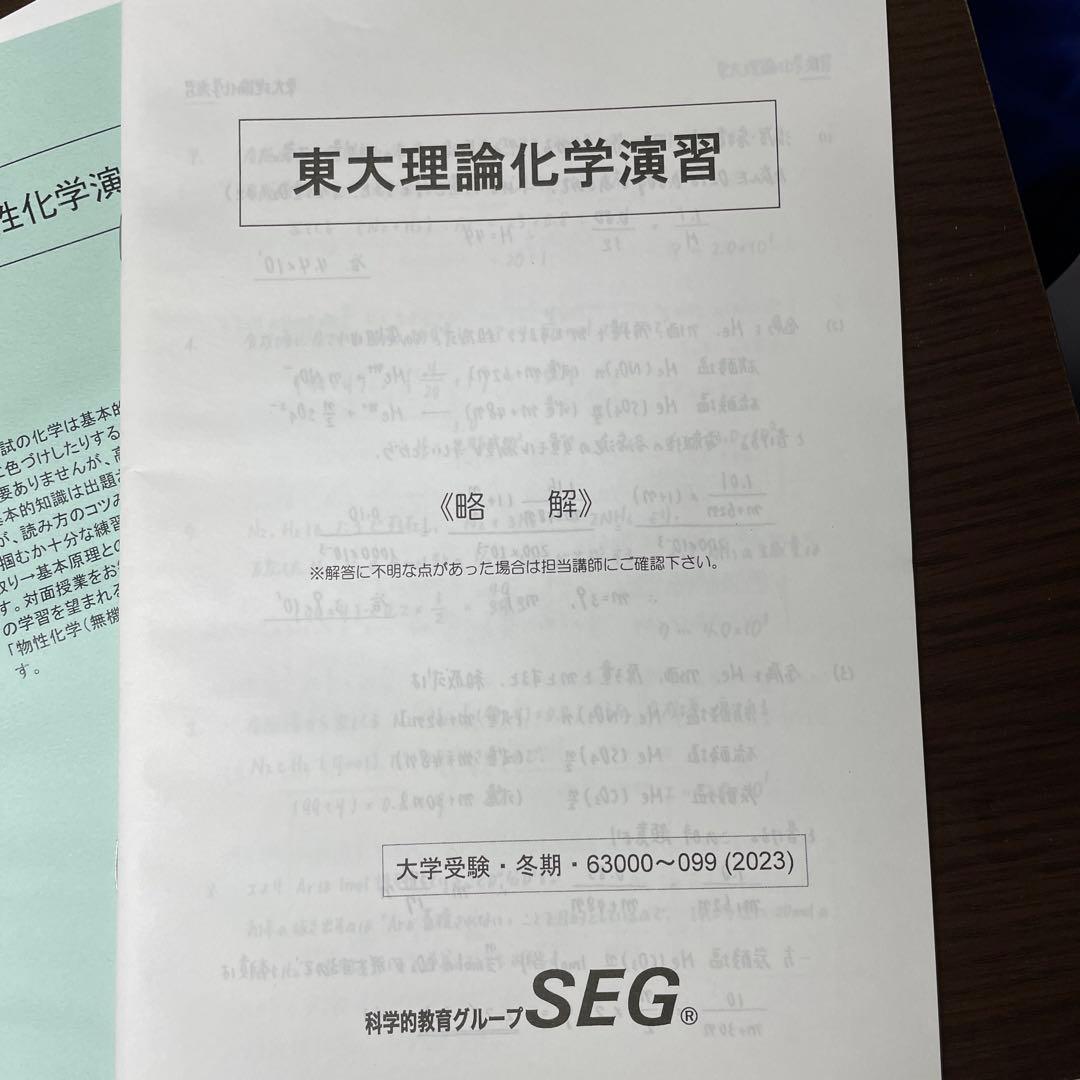 SEG 東大化学　冬季講習　一式　解答付き