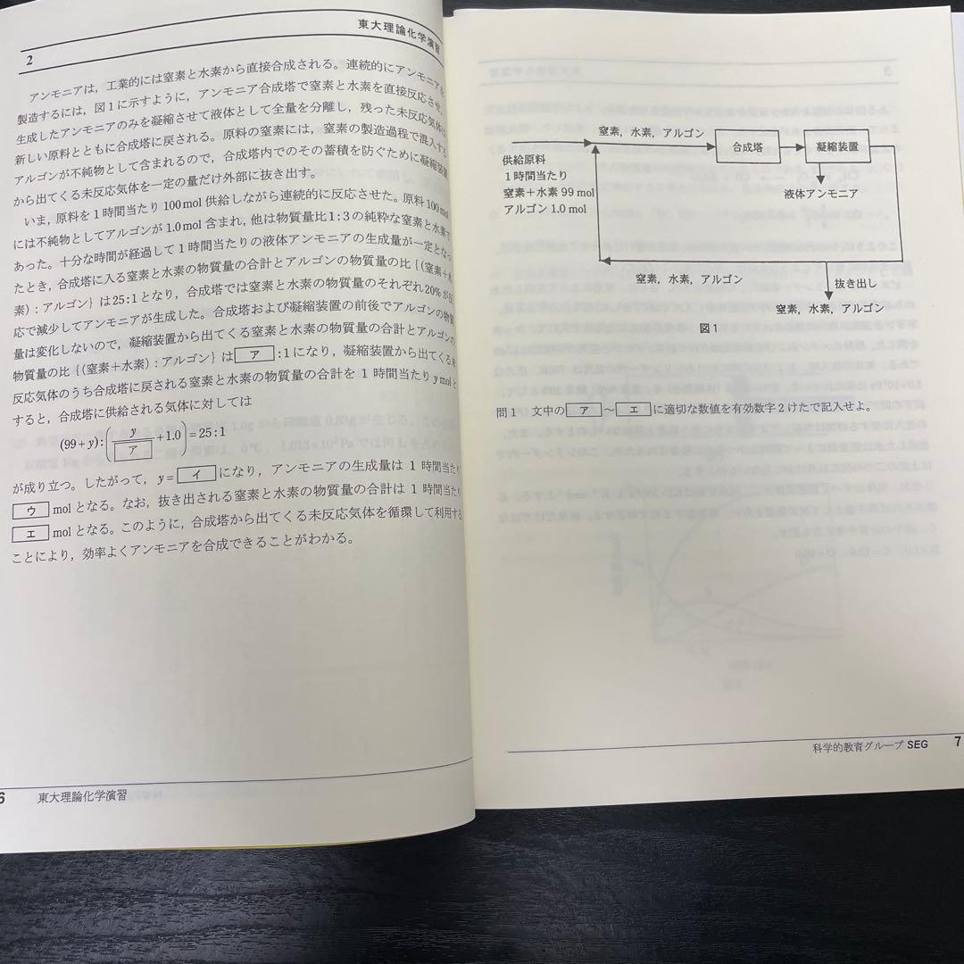 SEG 東大化学　冬季講習　一式　解答付き