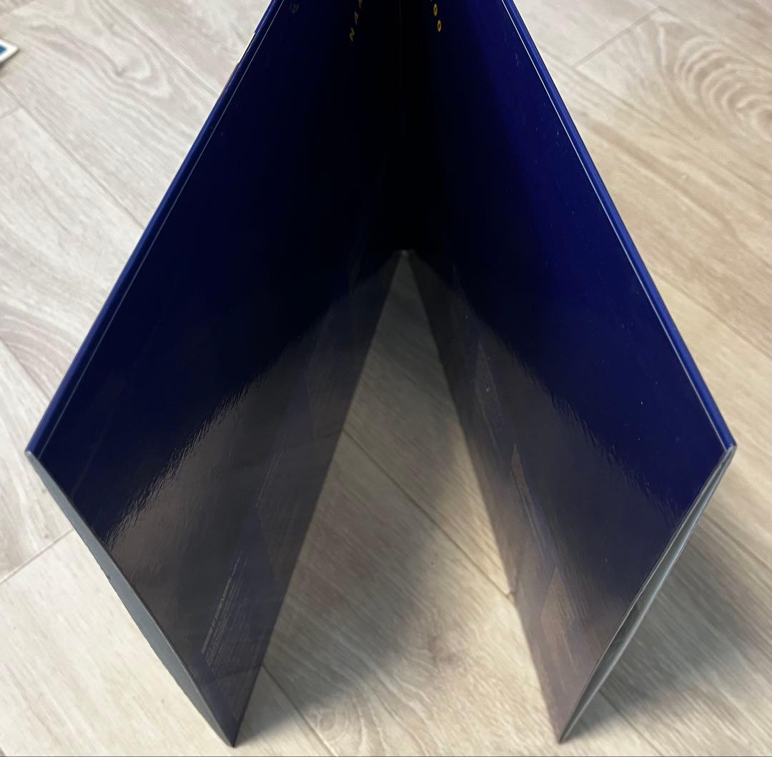 安室奈美恵　12inch LPレコードGENIUS2000