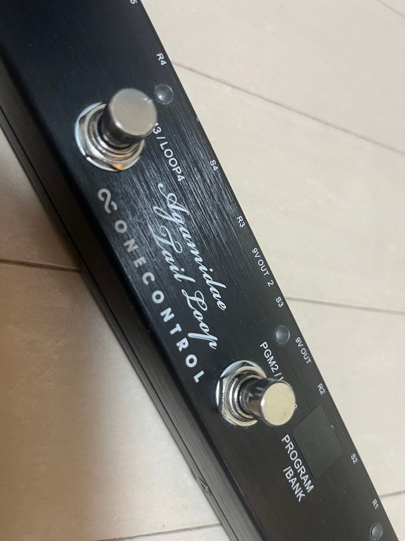 ギター One Control Agamidae Tail loop