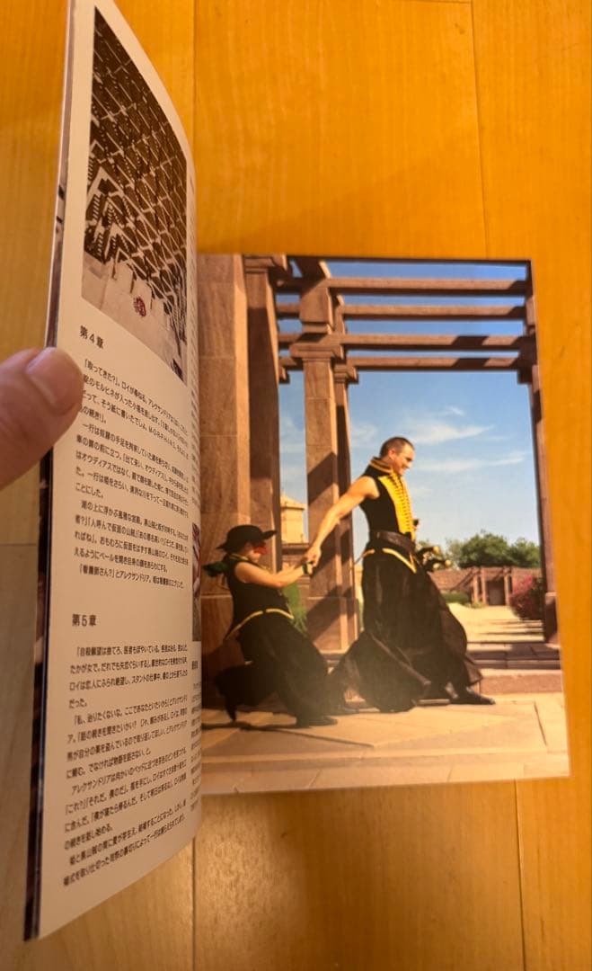 貴重！落下の王国 初公開時パンフレット