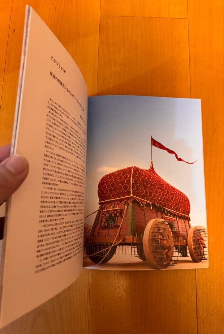 貴重！落下の王国 初公開時パンフレット