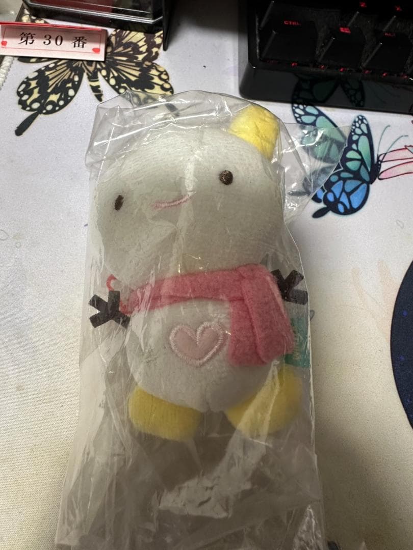 aespa ウィンター ぬいぐるみ、トレカケース、キーホルダー3点セット