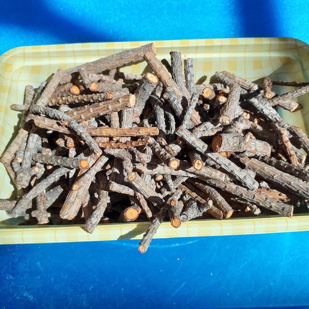 岩手県産　南部赤松　自然素材 100g カット　小枝　アロマテラピー　御守り