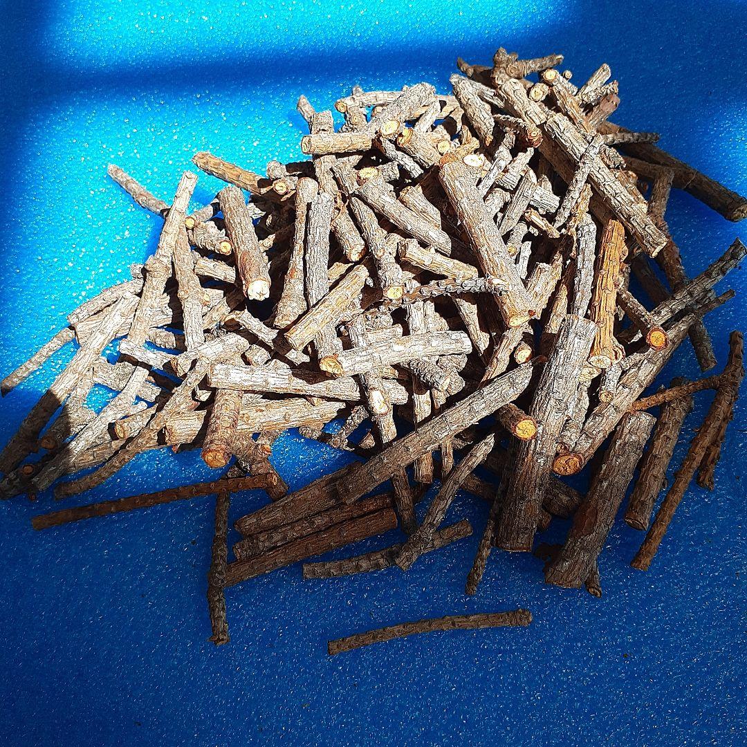 岩手県産　南部赤松　自然素材 100g カット　小枝　アロマテラピー　御守り