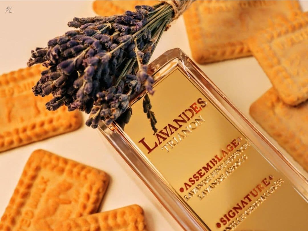 メゾンランコム　Lavandes Trianon Signature