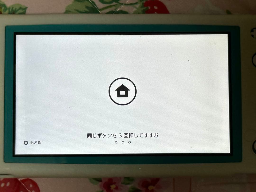 Nintendo Switch Lite 本体 マリオカート8DX