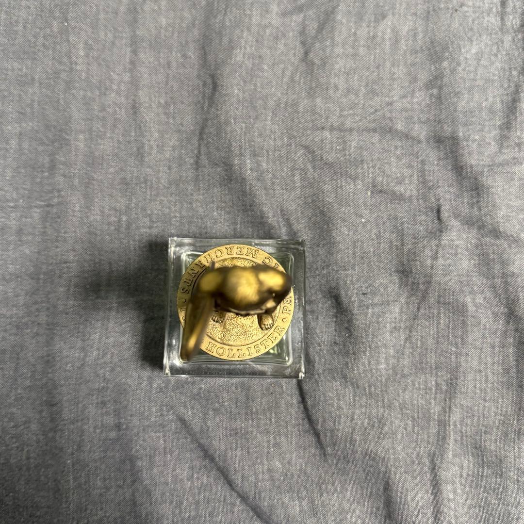 美品　Hollister 男性用香水