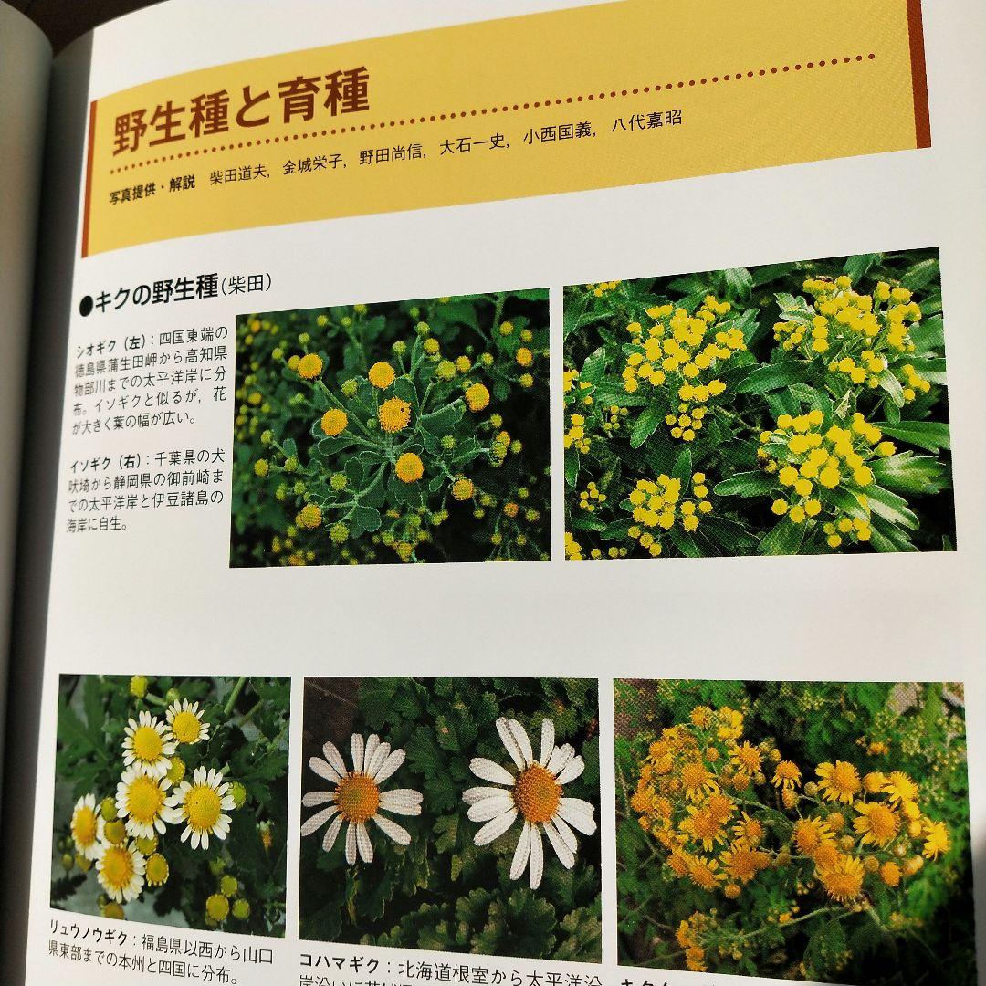 キク大事典 農文協／編　菊　花