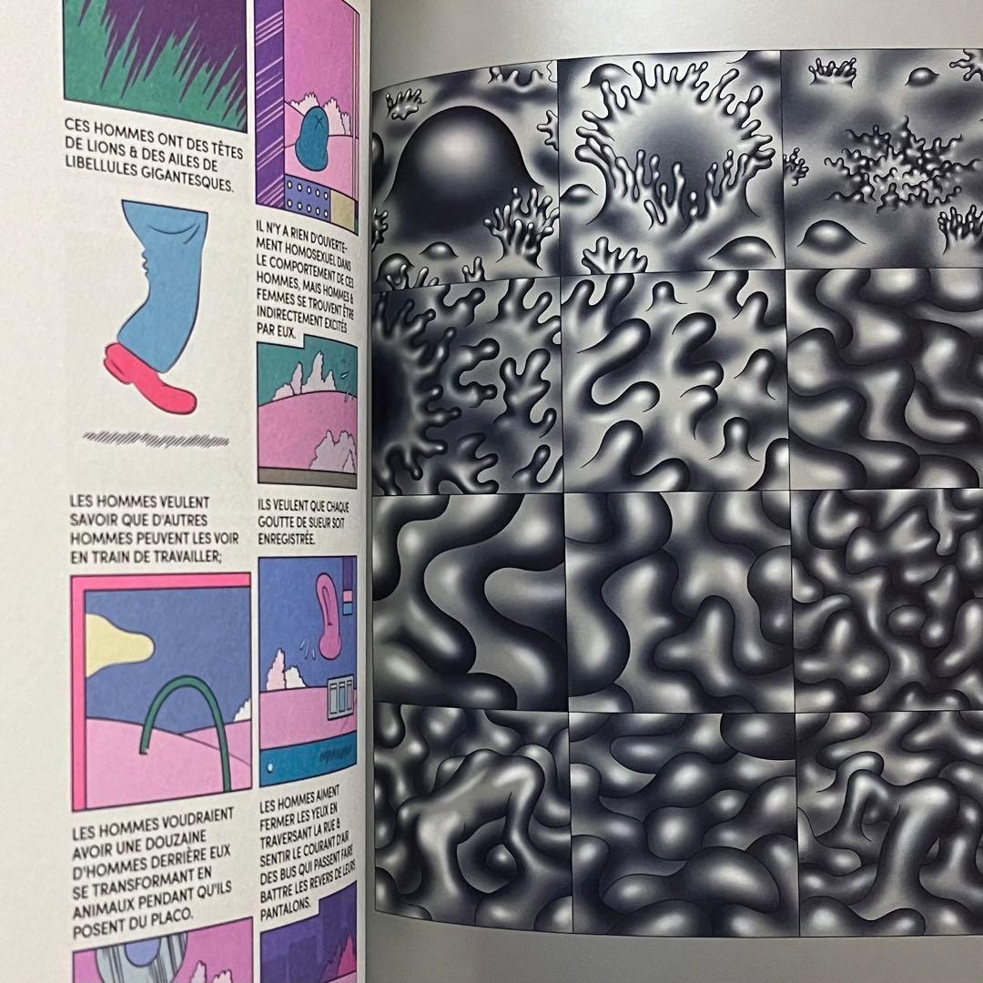 ★超レア 洋書 限定本 Lagon#3 タイガー立石 ポップアート インテリア