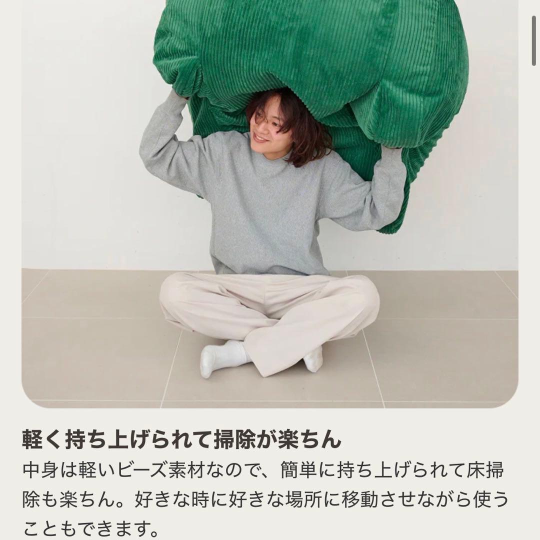 【2点セット】LOOSY ルージー 1人掛けソファ オットマン付き ベージュ