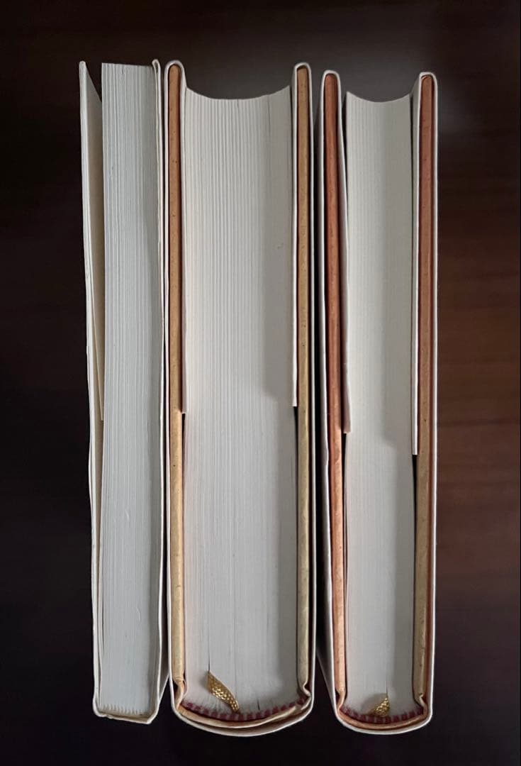 フィネガンズ・ウェイク I II Ⅲ Ⅳ 全2巻＋フィネガン辛航紀