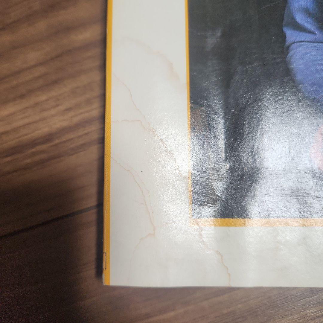 【超希少】ザ ギター 2 THE GUITAR 2 ヴィンテージ ギター写真集