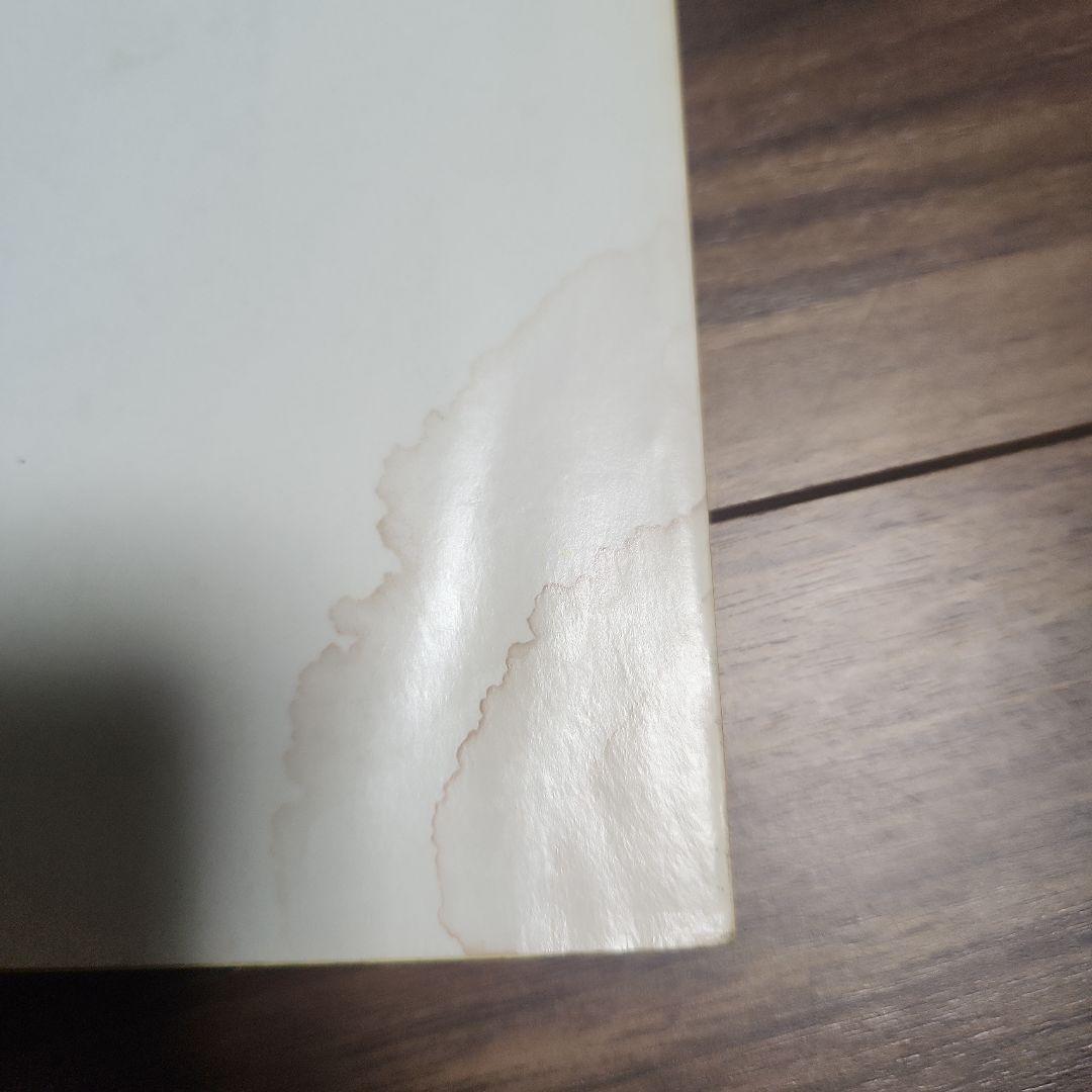 【超希少】ザ ギター 2 THE GUITAR 2 ヴィンテージ ギター写真集