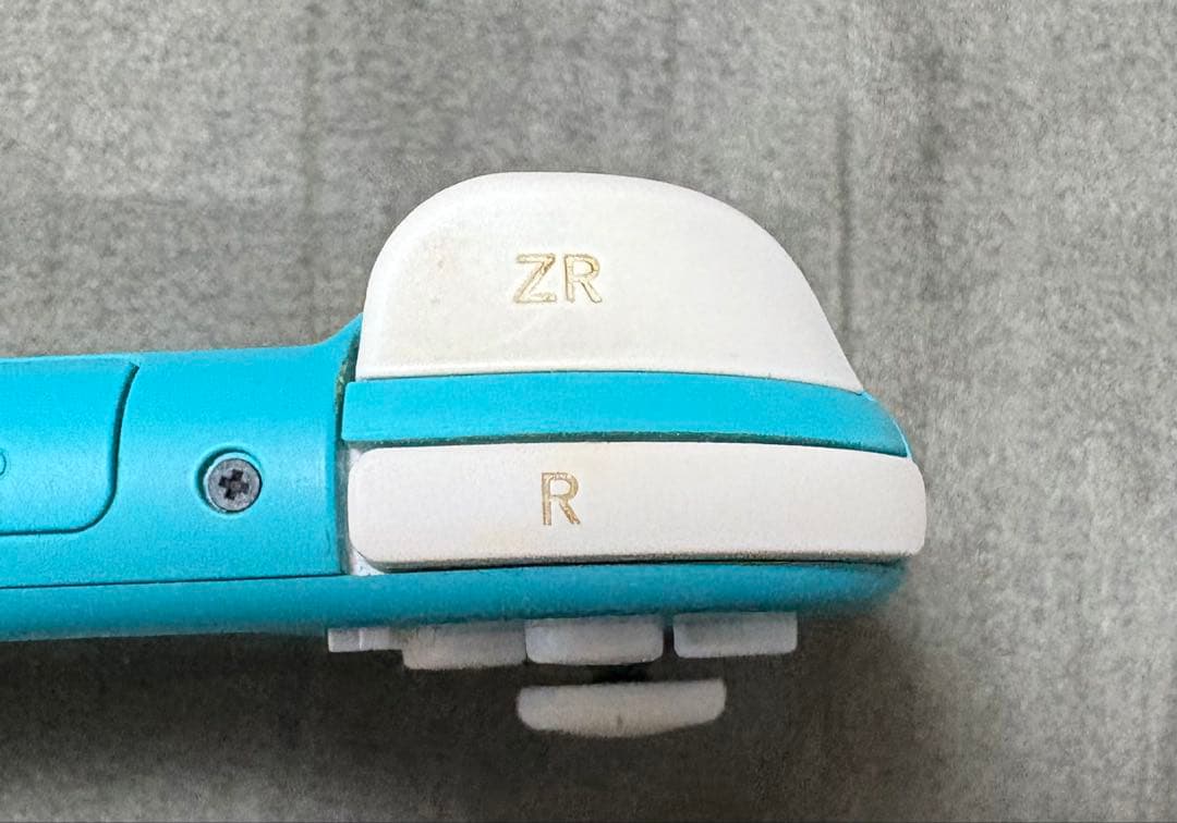 Nintendo Switch Light 本体のみ