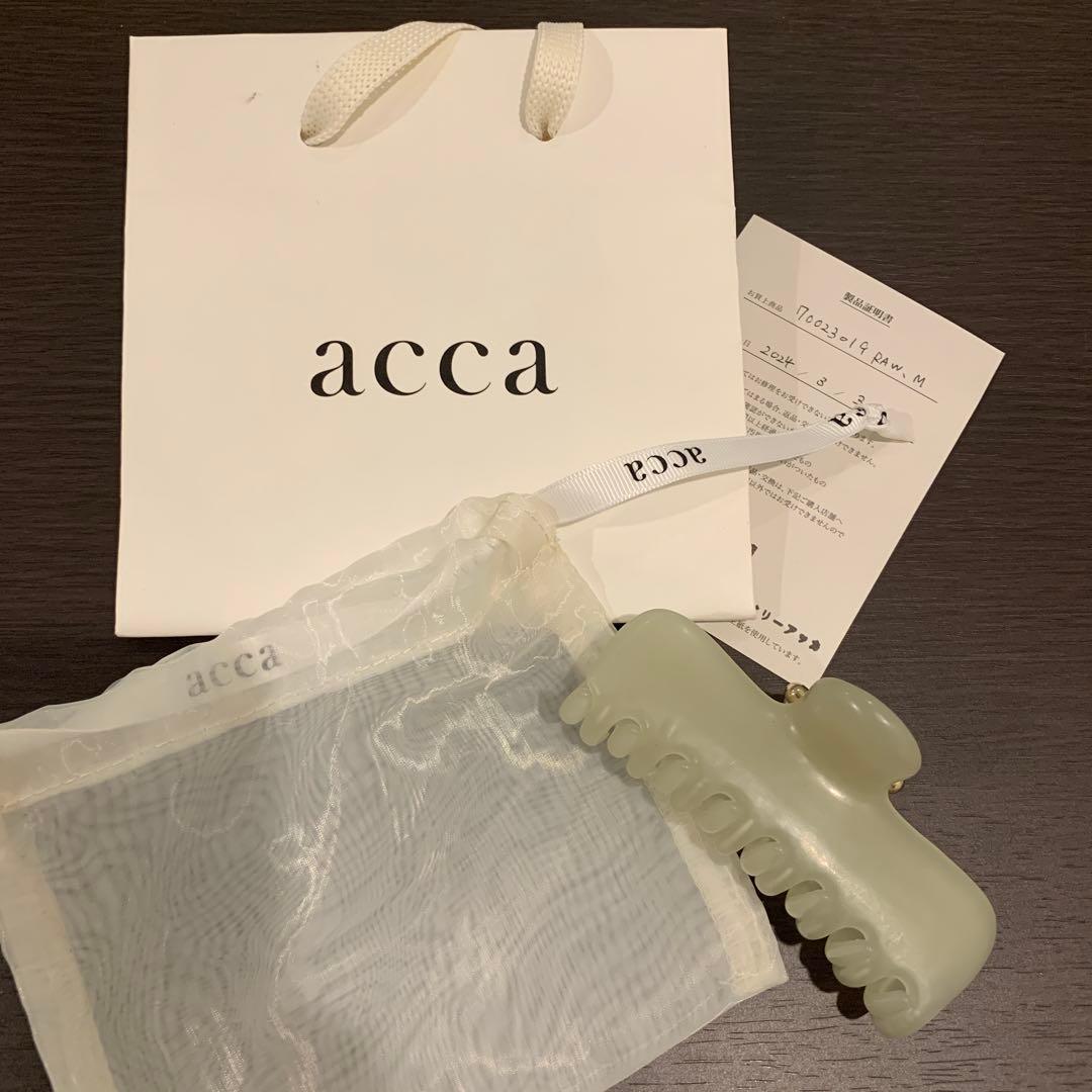 acca ブルークリップ　L ラージ　完売品