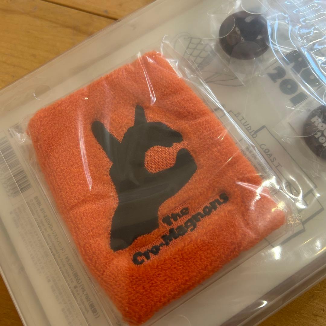 ☆クロマニヨンズ☆DVD ガンボインフェルノ　2014-2015 初回生産限定盤