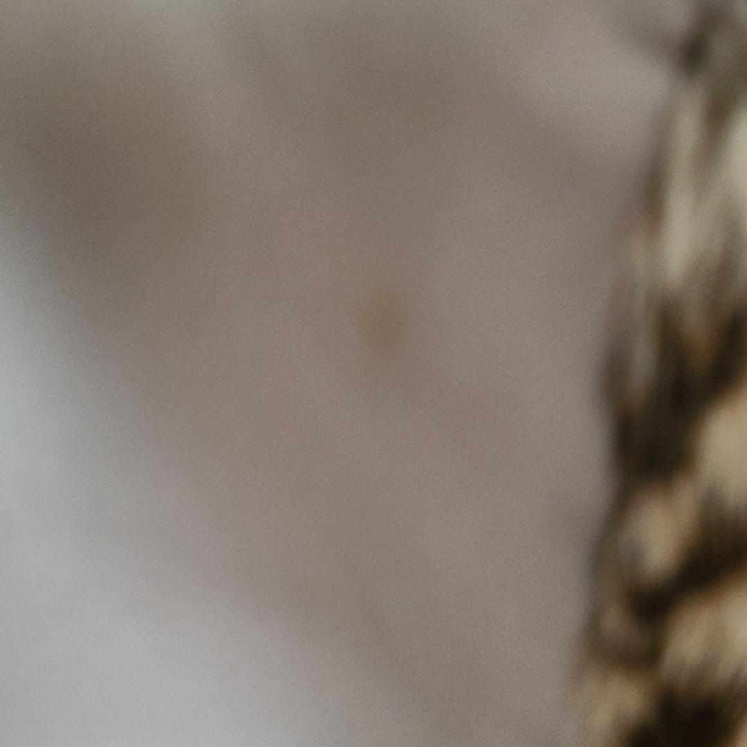 D*1様 エンバヒョウ柄 天然毛皮リピースキン ロングコート