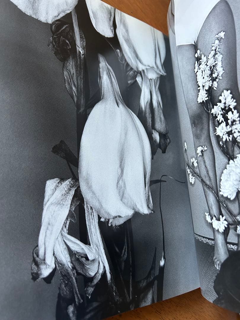 エロトス　荒木経惟