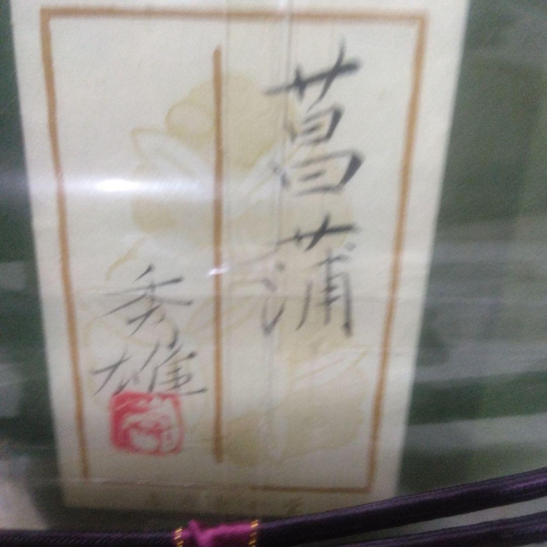 タイトル：昌蒲