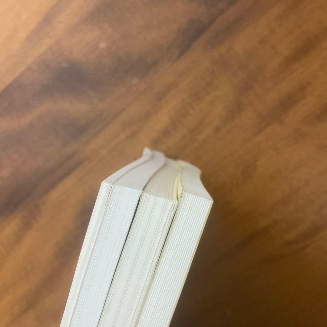 日塔和彦 ヨーロッパの茅葺きとその技術 その1～3 + 研修概報