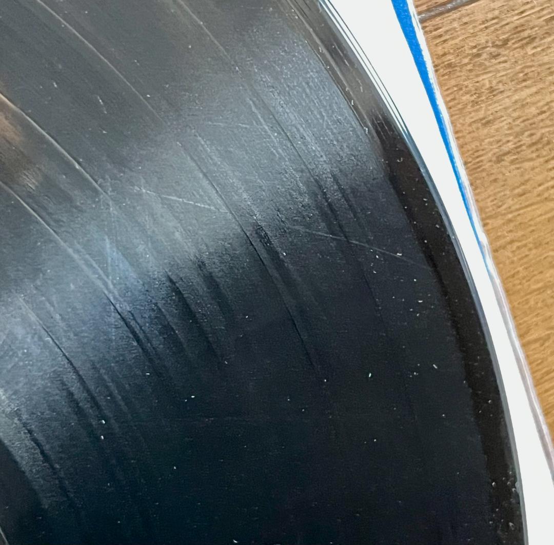 【初回プレス】BLINK 182 / DUDE RANCH